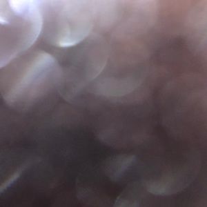 Meet your Posher, Rosalie